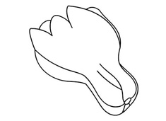 簡單又好看的小青菜簡筆畫圖片